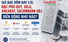 Giá bạc hôm nay 2/6: Bạc Phú Quý, Doji, Ancarat, Sacombank-SBJ biến động như nào?