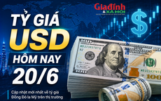 Tỷ giá USD hôm nay 20/6: Đồng Đô la Mỹ 'chợ đen' bán ra 26.600 đồng/USD