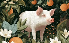 Giàu có nhưng không kiêu ngạo: 4 con giáp càng thành công càng ít khoe khoang