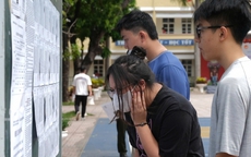 Hà Nội có 16 thủ khoa lớp 10 chuyên năm 2026, chuyên Vật lý có 3 đồng thủ khoa