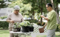 Vợ chồng sống đến tuổi 65 vẫn làm được 3 việc này, tuổi già chắc chắn viên mãn