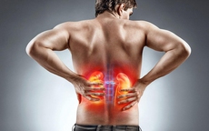 Người đàn ông 50 tuổi suy thận cấp sau khi ăn hàu sống nhiễm "vi khuẩn ăn thịt người"