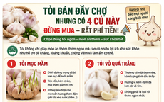 Tỏi bán đầy chợ nhưng có 4 loại 'tưởng ngon mà hóa ra phí tiền': biết sớm để tránh mua nhầm