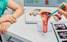 Mãn kinh rồi có mắc ung thư cổ tử cung không?