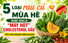 5 loại rau củ mùa hè hỗ trợ kiểm soát mỡ máu, tốt cho người viêm dạ dày