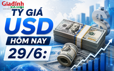Tỷ giá USD hôm nay 29/6: Đồng Đô la Mỹ biến động trái chiều khối ngân hàng và 'chợ đen'