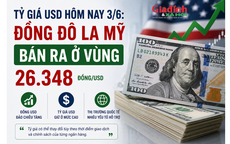 Tỷ giá USD hôm nay 3/6: Đồng Đô la Mỹ bán ra ở vùng 26.348 đồng/USD