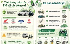Những loại xe nào cần đặc biệt lưu ý khi dùng xăng E10 theo khuyến cáo của Bộ Công thương để tốt cho động cơ?