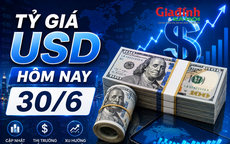 Tỷ giá USD hôm nay 30/6: Đồng Đô la Mỹ thị trường tự do tăng bật