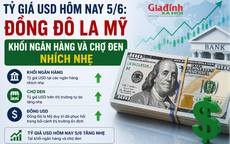 Tỷ giá USD hôm nay 5/6: Đồng Đô la Mỹ khối ngân hàng và chợ đen nhích nhẹ