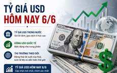 Tỷ giá USD hôm nay 6/6: Đồng Đô la Mỹ khẳng định vị thế trên thị trường tiền tệ