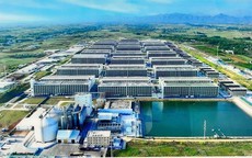 Tổ hợp chăn nuôi lợn nhà cao tầng công nghệ cao Hà Nội: Người dân kỳ vọng phát triển kinh tế nhưng trăn trở bài toán kiểm soát mùi