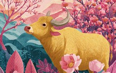 Trời không phụ người tử tế: 3 con giáp sống nhân hậu nên cả đời được quý nhân nâng đỡ