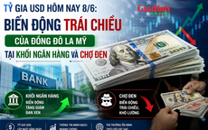 Tỷ giá USD hôm nay 8/6: Biến động trái chiều của đồng Đô la Mỹ tại khối ngân hàng và chợ đen
