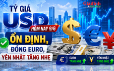 Tỷ giá USD hôm nay 9/6 ổn định, đồng EURO, Yên Nhật tăng nhẹ