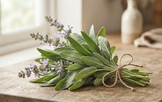 7 loại thảo mộc giàu magie có lợi cho sức khỏe