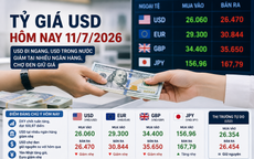 Tỷ giá USD hôm nay 11/7: USD 'chợ đen' chưa có biến động