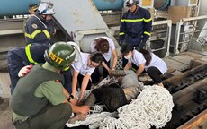 Hà Nội: Kịp thời giải cứu nam thanh niên có biểu hiện bất thường, mắc kẹt dưới dầm cầu Thăng Long