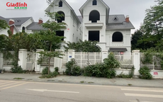 Vì sao biệt thự Thanh Xuân cho thuê đắt?