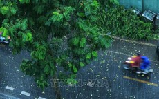 Thời tiết hôm nay (11/7): Nhiều nơi có mưa to đến rất to