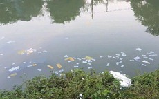 Huế quy định tổ chức lễ tang không quá 72 giờ, cấm rải vàng mã