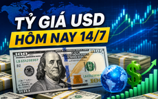 Tỷ giá USD hôm nay 14/7: Đồng Đô la Mỹ 'chợ đen' bật tăng sau chuỗi ngày dài chững giá