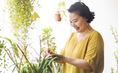 Đừng đợi nghỉ hưu mới lo: 3 điều quyết định tuổi già sung túc hay chật vật