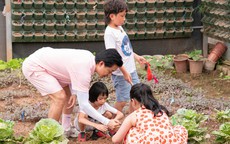 Tuấn Hưng khéo dạy con