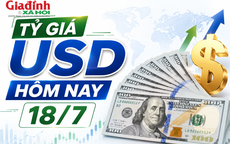 Tỷ giá USD hôm nay 18/7: Đồng Đô la Mỹ biến động trái chiều khối ngân hàng và 'chợ đen'