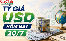 Tỷ giá USD hôm nay 20/7 vẫn dao động trong biên độ hẹp