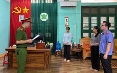 Khởi tố Chủ tịch HĐQT Công ty Cổ phần Sản xuất phân bón Hà Bắc