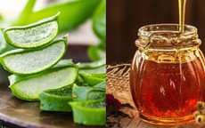 Thức uống 'vàng' cho sức khỏe: Cách làm nha đam ngâm mật ong chuẩn vị không đắng
