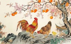 Top con giáp 'hóng biến' số 1: Đi đến đâu cũng muốn góp chuyện đến đó