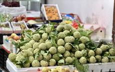 Loại quả đặc sản thơm ngon, ngọt lịm đang vào mùa, tiểu thương nhập hàng tạ mỗi ngày vẫn ‘cháy hàng’