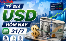Tỷ giá USD hôm nay 31/7: Đồng Đô la Mỹ khối ngân hàng và 'chợ đen' đồng loạt giảm