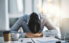 Viên chức bị cách chức ngay lập tức khi vi phạm quy định này