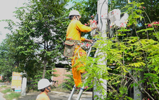 Lịch cúp điện Vĩnh Long từ ngày 6 - 12/7/2026: Khu vực bị mất điện tăng cao đột biến
