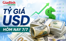 Tỷ giá USD hôm nay 7/7: Đồng Đô la Mỹ thị trường 'chợ đen' chững giá