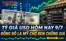 Tỷ giá USD hôm nay 9/7: Đồng Đô la Mỹ thị trường chợ đen chững giá