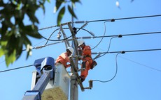 Lịch cúp điện Cà Mau (Bạc Liêu cũ) từ ngày 14 - 16/8/2026: Cập nhật danh sách khu dân cư bị cúp điện cả ngày dài