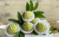 Tiểu thương lý giải giá na dai Đồng Bành cao hơn so với những loại khác nhưng vẫn được người tiêu dùng đặt mua không ngớt