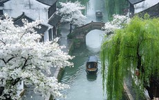 Giờ sinh Âm lịch của người có số gặp quý nhân: Sự nghiệp càng làm càng lên như diều gặp gió