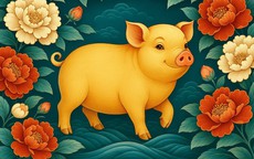3 con giáp đón tuần mới vận may phủ kín