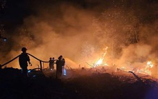 Tuyên Quang: Huy động 40 cán bộ, chiến sĩ dập cháy rừng trong đêm