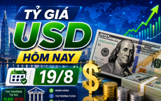 Tỷ giá USD hôm nay 19/8: Tỷ giá trung tâm thiết lập đỉnh mới