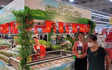 Lễ hội 'Tự hào đặc sản Việt 2026': Lan tỏa Chương trình Sinh kế Cộng đồng, tạo việc làm và bảo đảm an sinh xã hội bền vững