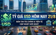 Tỷ giá USD hôm nay 21/8: Đồng Đô la Mỹ ngân hàng giảm mạnh, 'chợ đen' chững giá