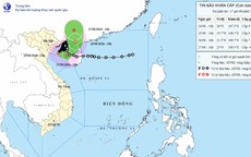 Tin sáng 25/8: Bão số 4 lại tiến sát vùng biển Quảng Ninh, Hải Phòng, đường đi khó lường; Hà Nội tổng rà soát tình trạng chậm cấp sổ hồng chung cư