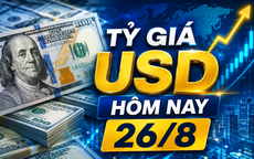 Tỷ giá USD hôm nay 26/8: Đồng Đô la Mỹ biến động trái chiều khối 'chợ đen' và ngân hàng