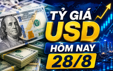 Tỷ giá USD hôm nay 28/8: Đồng Đô la Mỹ khối ngân hàng thương mại nối dài đà giảm